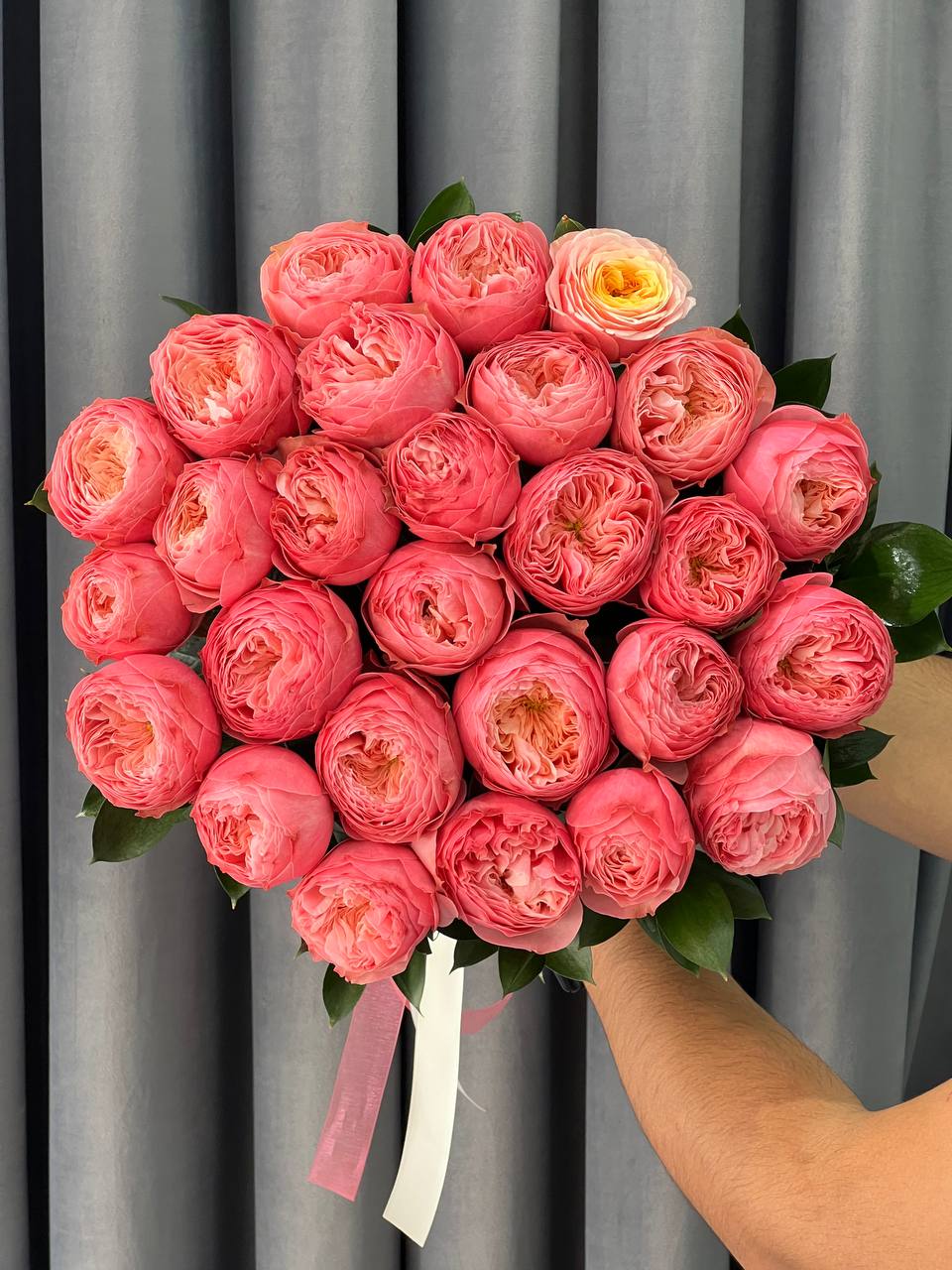 Open Coral