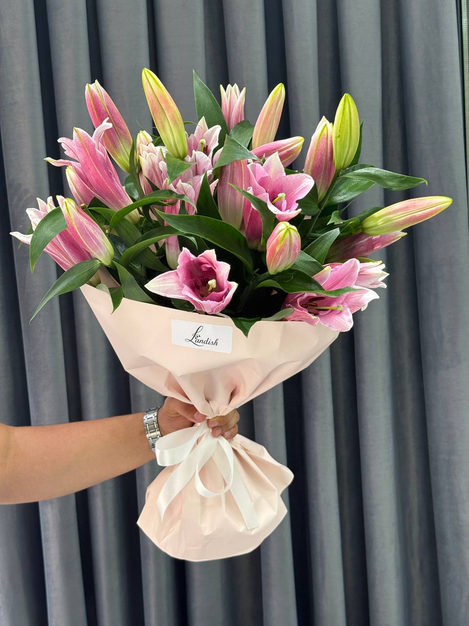 Pink Lily